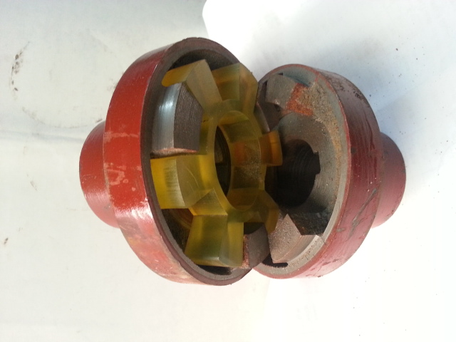 ��צ������